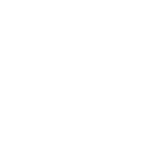 Praktische Fähigkeiten Icon